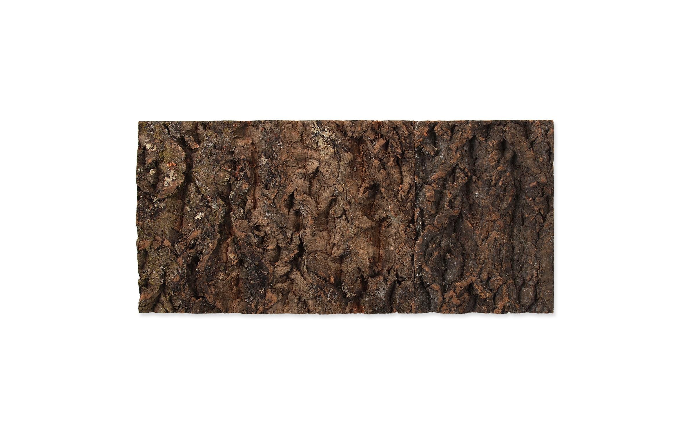 Repti Planet Kork-Rückwand 48.8x22.7x2cm