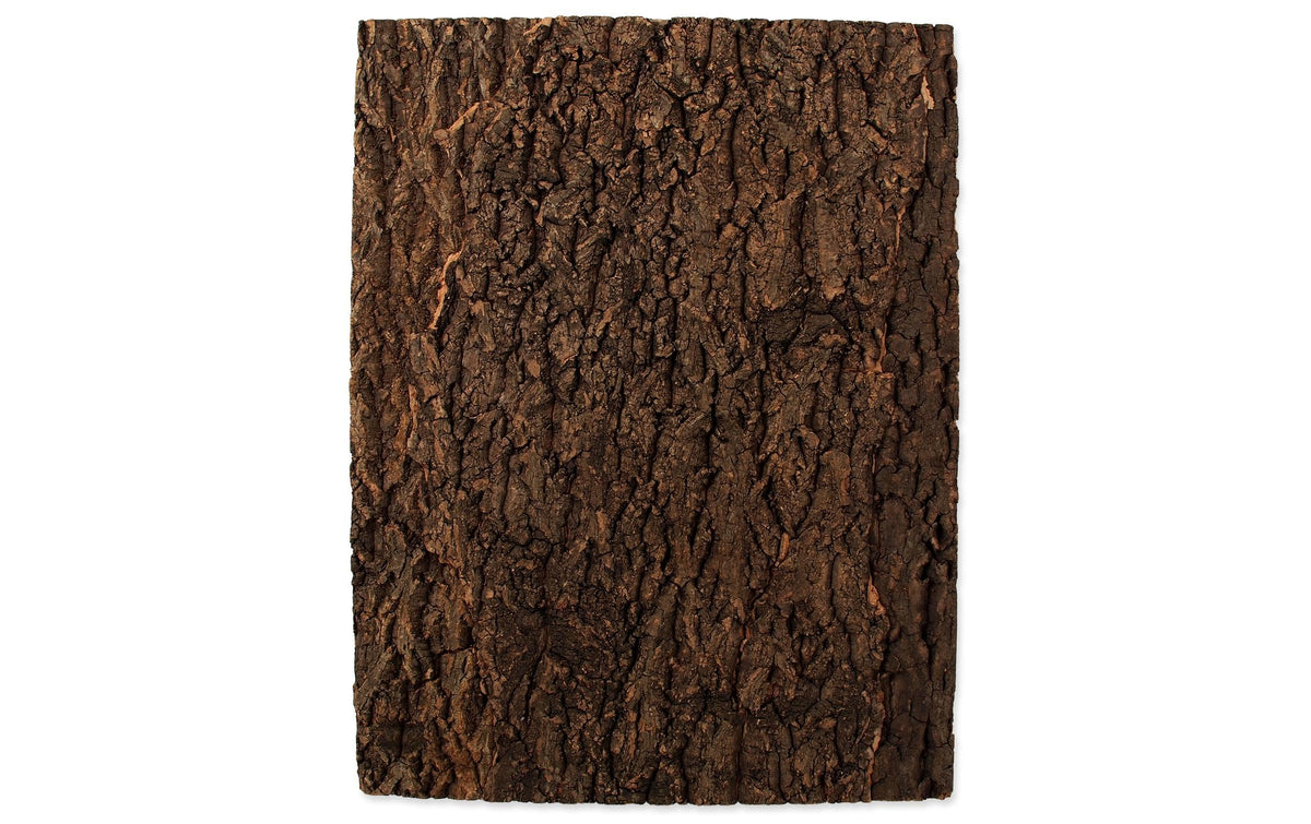 Repti Planet Kork-Rückwand 43.5x56x2cm