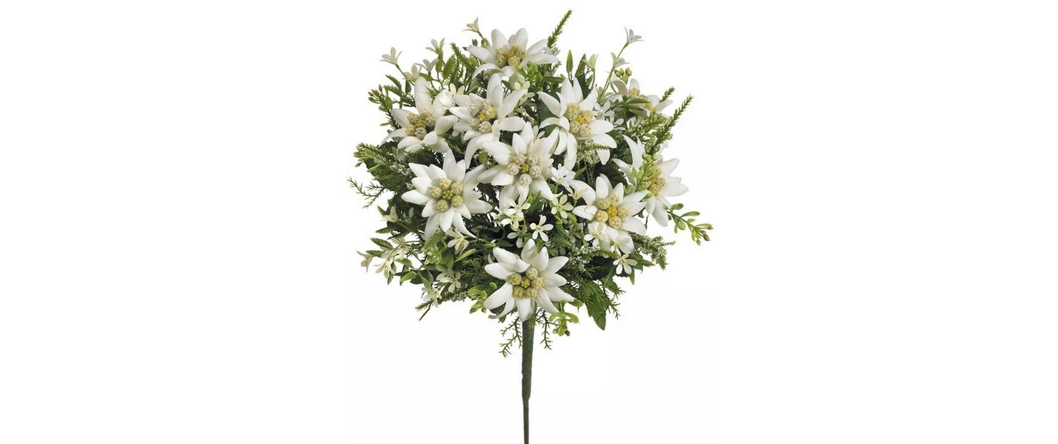 Botanic-Haus Edelweiss-Strauss
