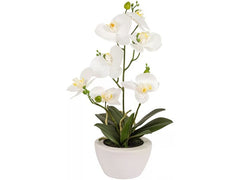 Botanic-Haus | Phaleanopsis Weiss im Topf | 67x55cm(HxB),Kunstst.,Spinnst.,Keramik