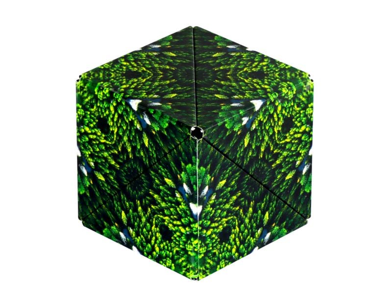 Shashibo | Cube Forest