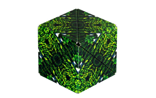 Shashibo | Cube Forest