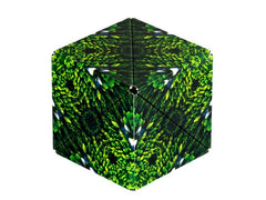 Shashibo | Cube Forest