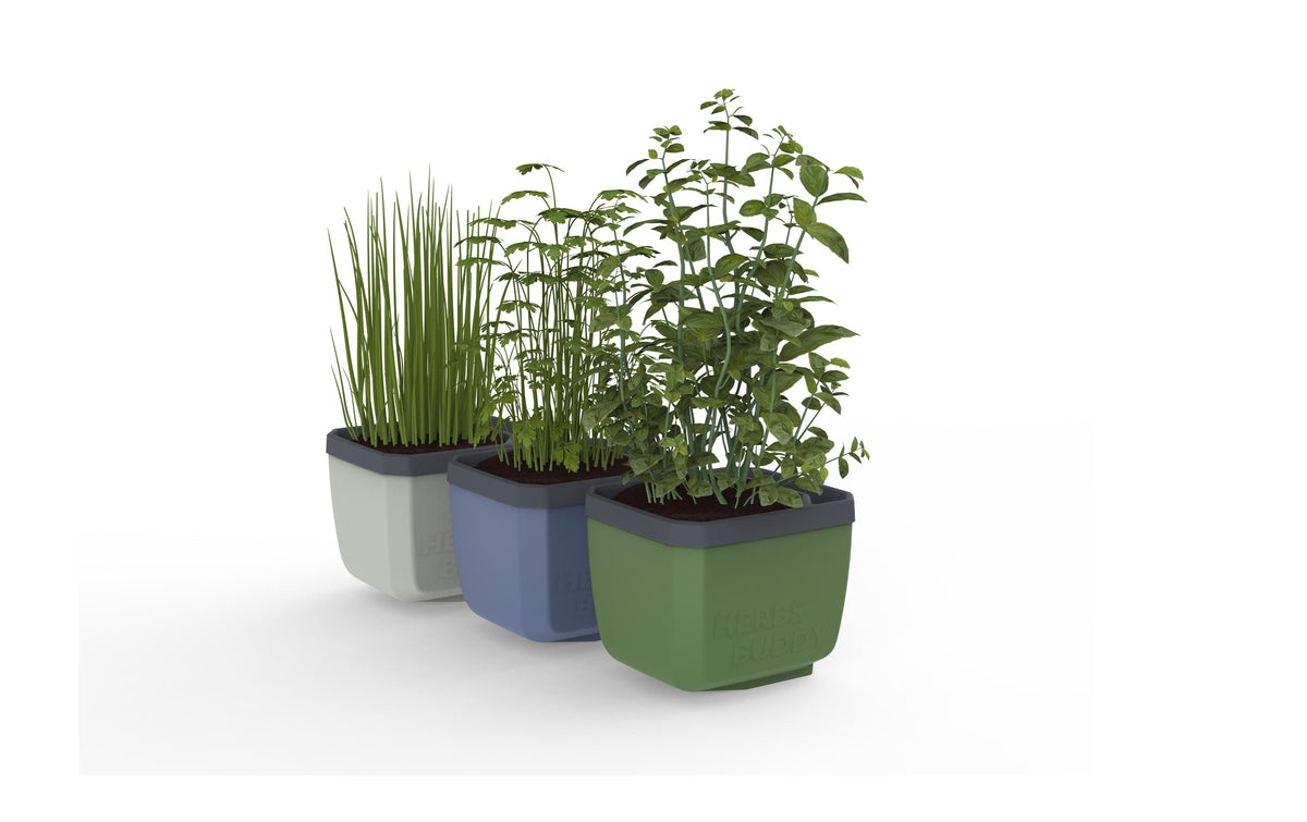 Gusta Garden, HERBS BUDDY Kräutertopf 3er S