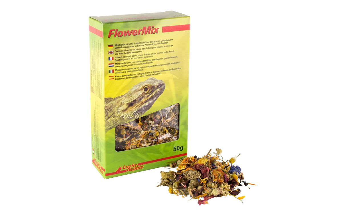 Lucky Reptile Flower Mix