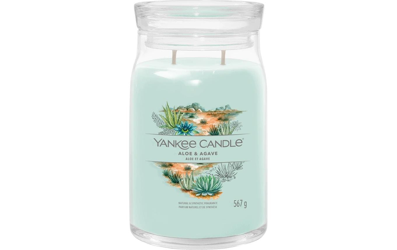 Yankee Candle Aloe & Agave