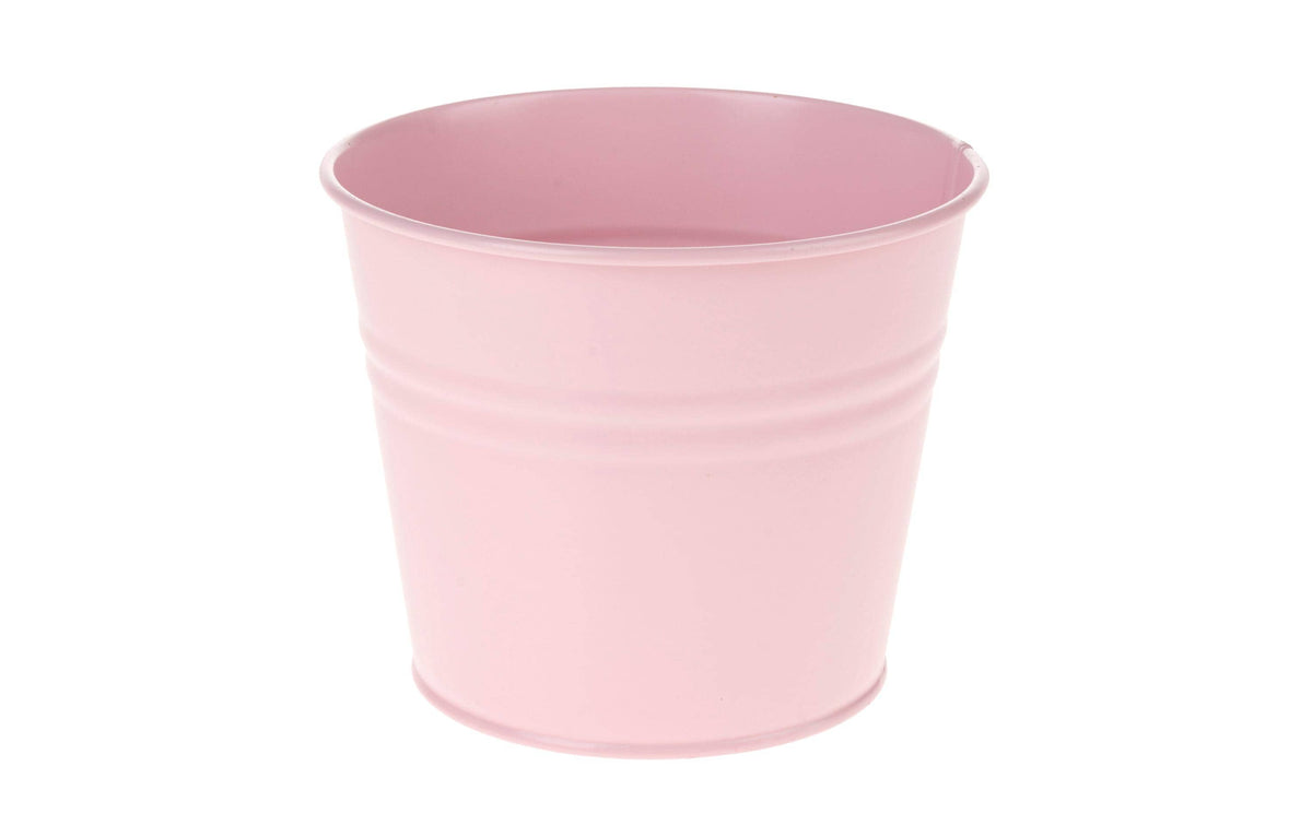 Opiflor Zinktopf Jan, Rosa