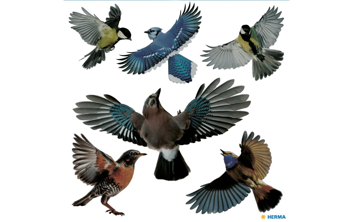 Herma Sticker Fensterbild Warnvögel