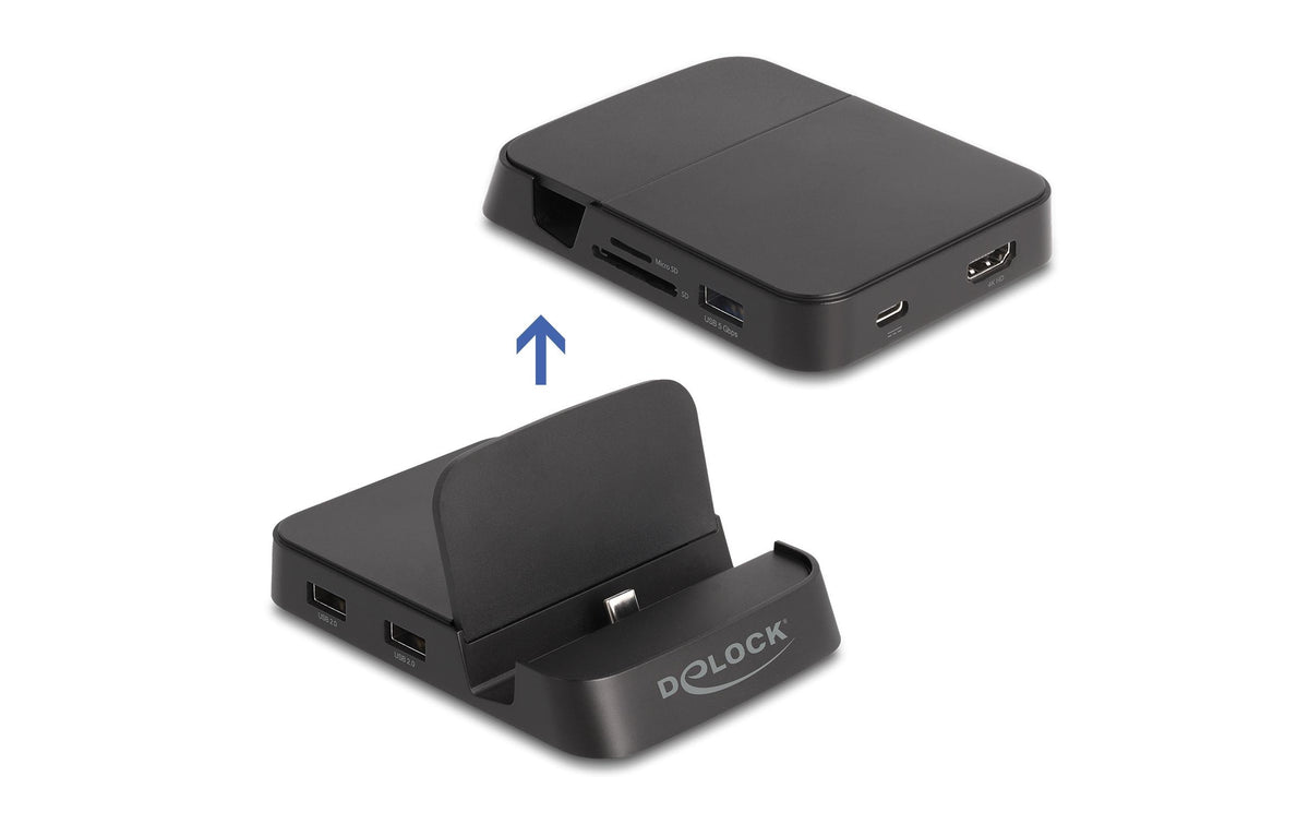 Delock Dockingstation 4K mit Halterung