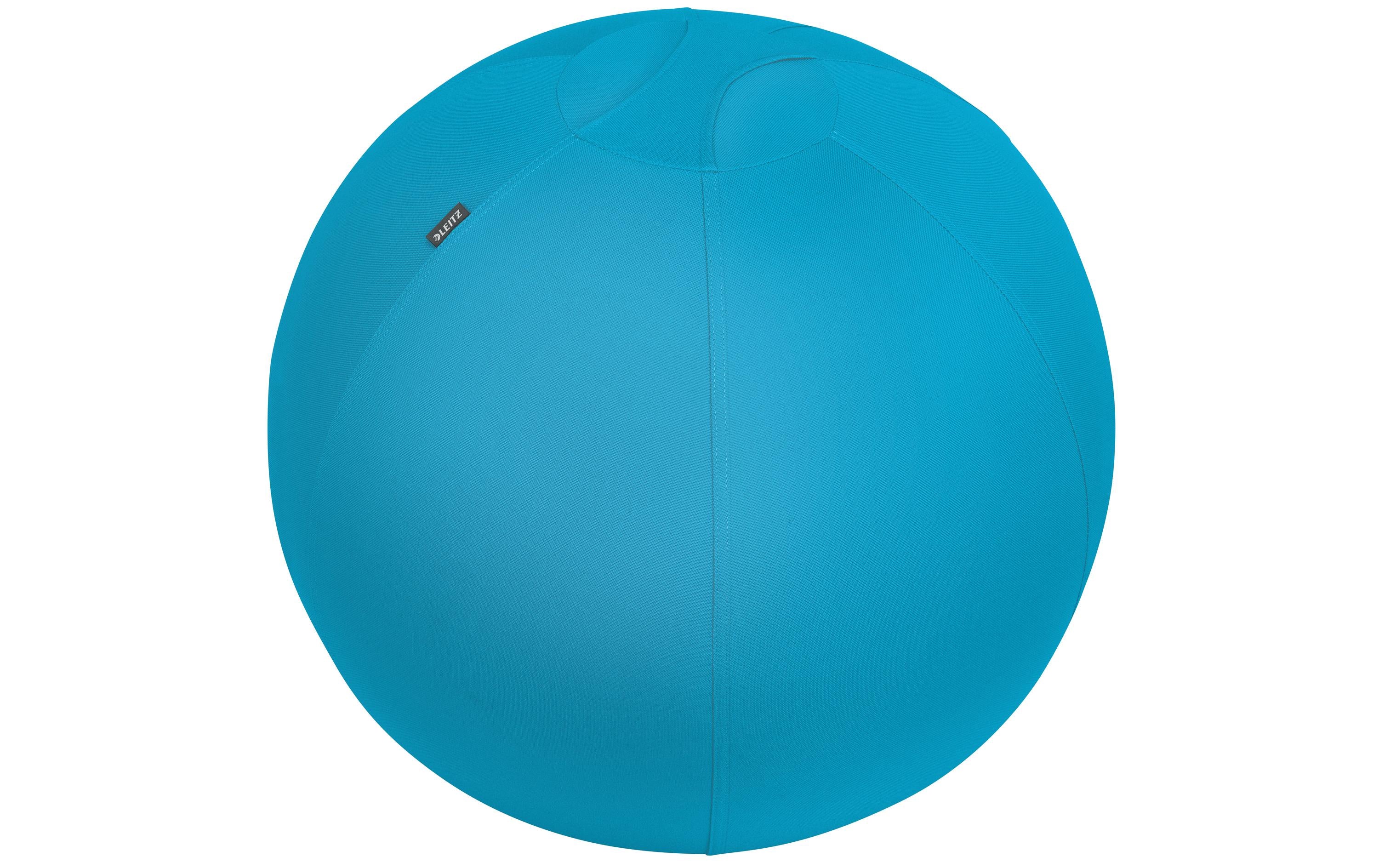 Leitz Sitzball Ergo Cosy