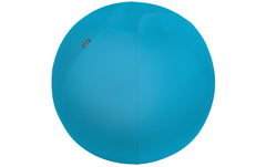 Leitz Sitzball Ergo Cosy