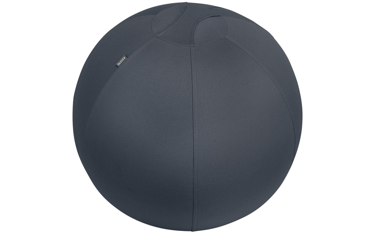 Leitz Sitzball Ergo Cosy
