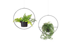 Wallxpert | Blumenampel | Metall, 2 Stück