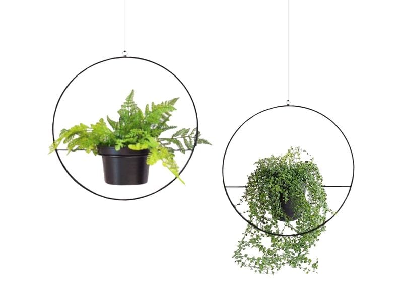 Wallxpert | Blumenampel | Metall, 2 Stück