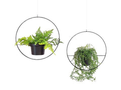 Wallxpert | Blumenampel | Metall, 2 Stück