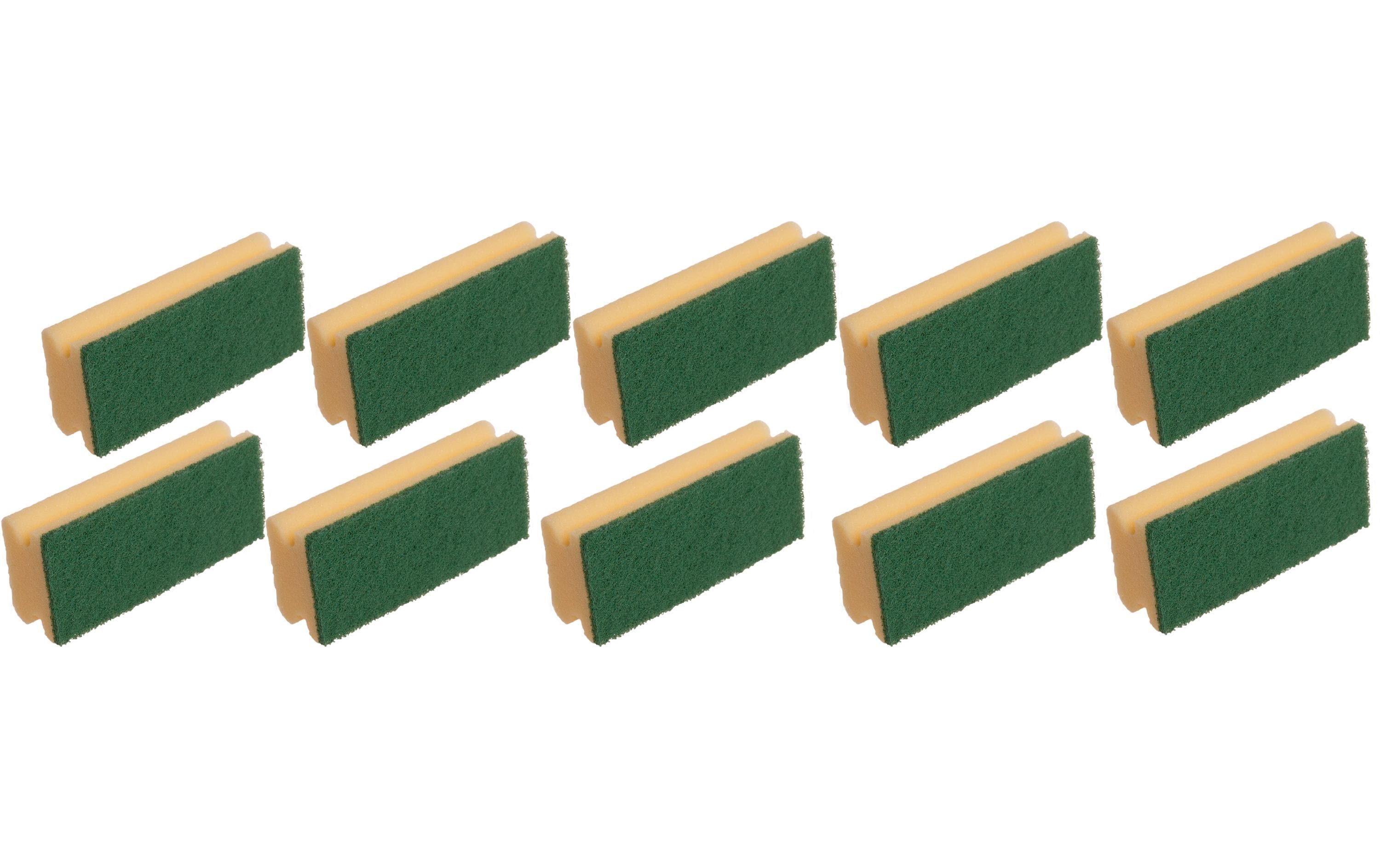 Edi Baur, Schwamm Basic 10 Stück, Gelb/Grün