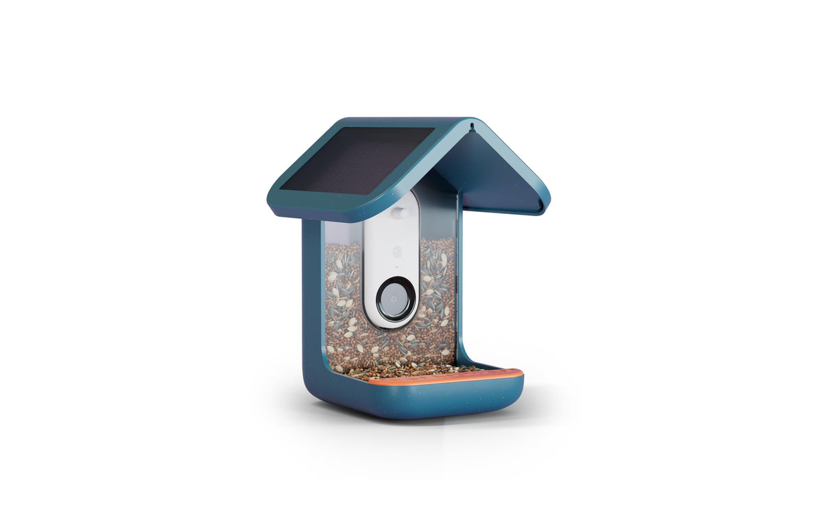 Bird Buddy PRO Solar