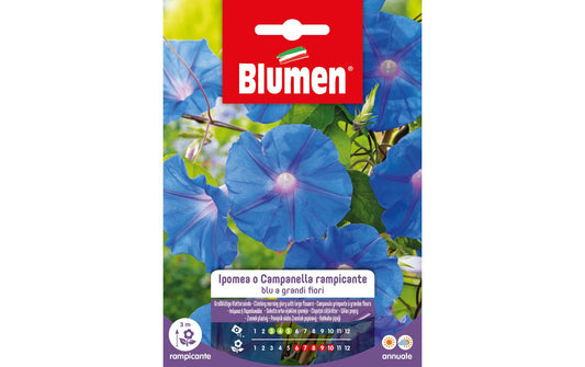 Blumen | SAMEN MAUSER Grossblütige Kletterwinde