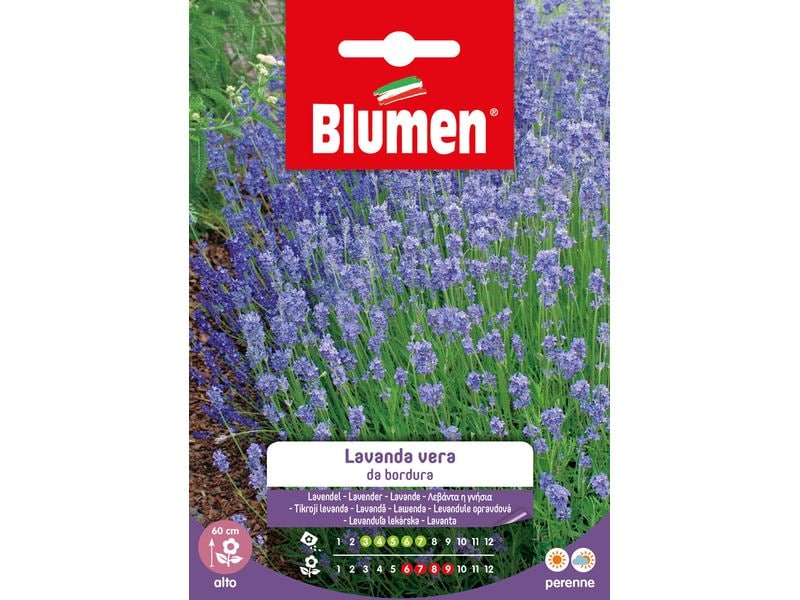 Blumen | SAMEN MAUSER Lavendel