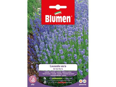 Blumen | SAMEN MAUSER Lavendel