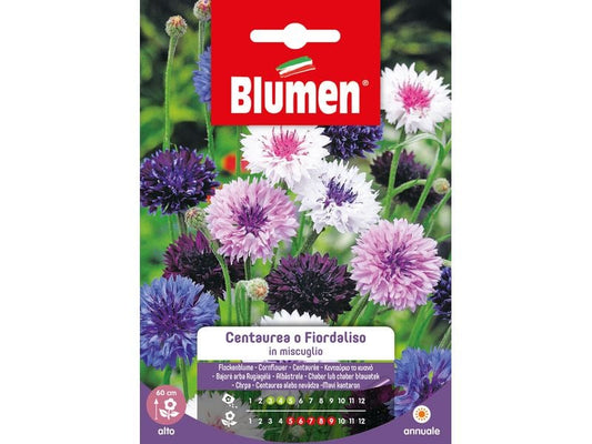 Blumen | SAMEN MAUSER Kornblume Mix
