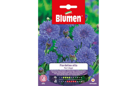 Blumen | SAMEN MAUSER Kornblume gefüllt hoch