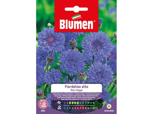 Blumen | SAMEN MAUSER Kornblume gefüllt hoch