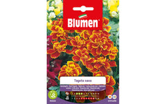 SAMEN MAUSER Zwergtagetes MARIETTA