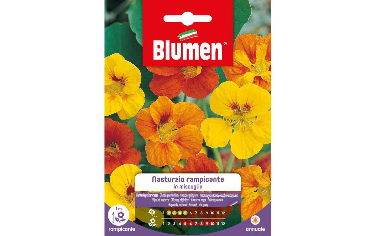 SAMEN MAUSER Kletterkapuzinerkresse Mix