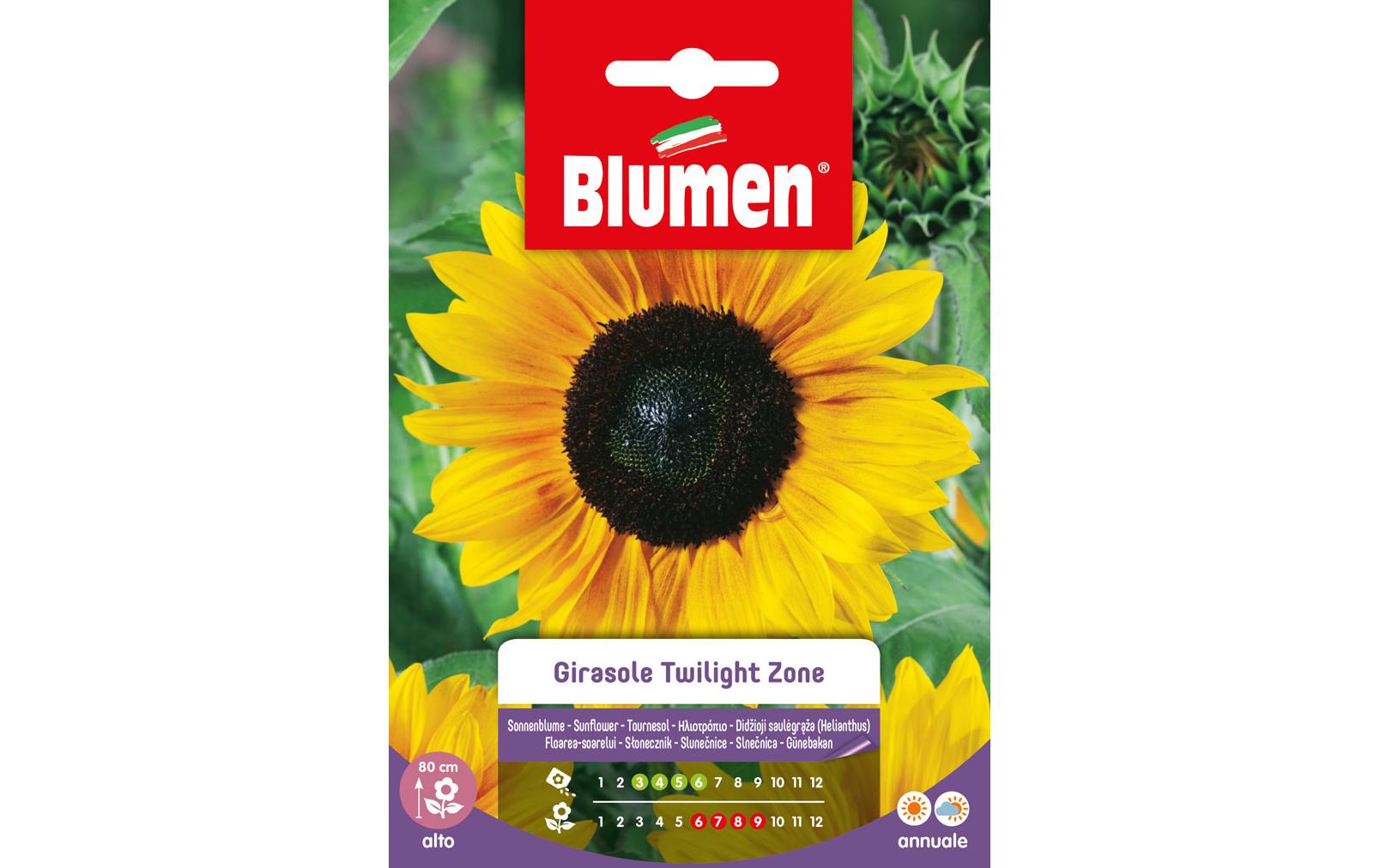 SAMEN MAUSER Sonnenblume Twilight Zone