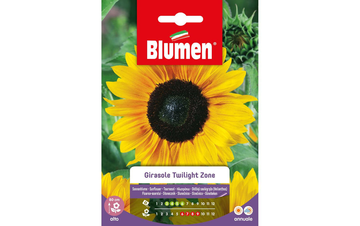 SAMEN MAUSER Sonnenblume Twilight Zone