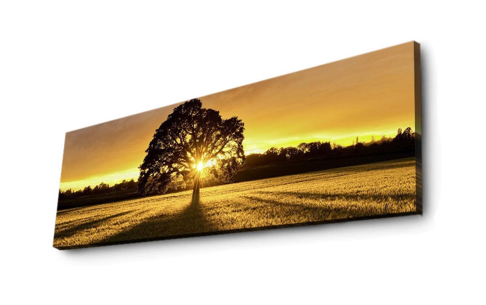Wallxpert Wandbild Tree