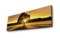 Wallxpert Wandbild Tree