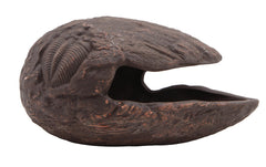 Repto Deco cocoon brown l