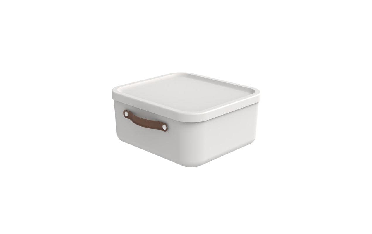Rotho, Aufbewahrungsbox Maloja 20 l, Mistle