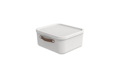 Rotho, Aufbewahrungsbox Maloja 20 l, Mistle