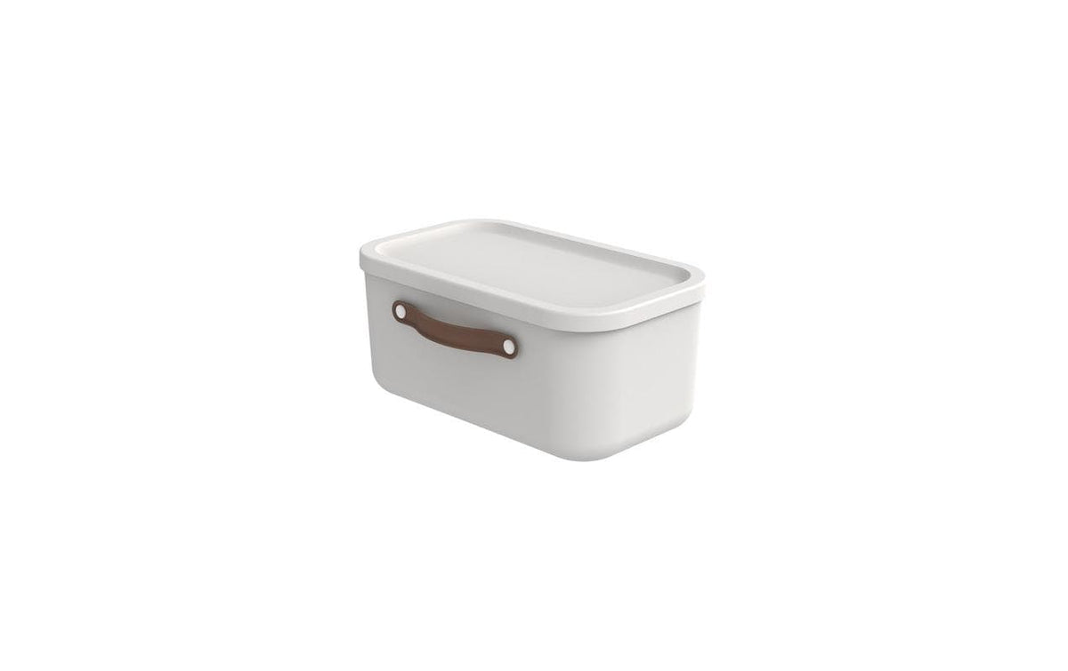 Rotho, Aufbewahrungsbox Maloja 12 l, Mistle