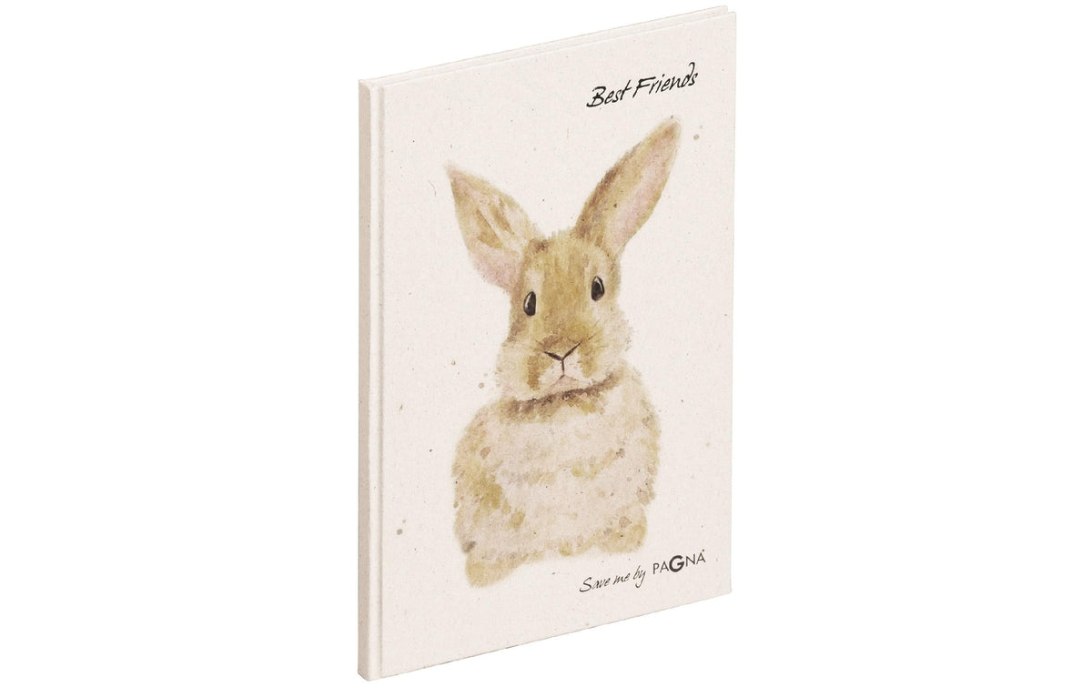 Pagna Freundebuch Hase