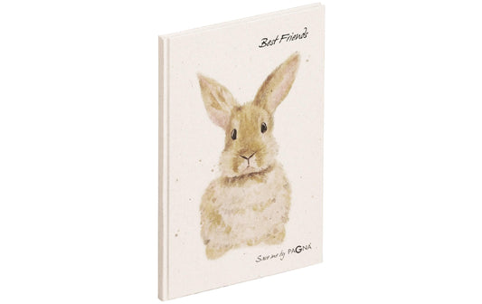 Pagna Freundebuch Hase
