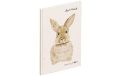 Pagna Freundebuch Hase