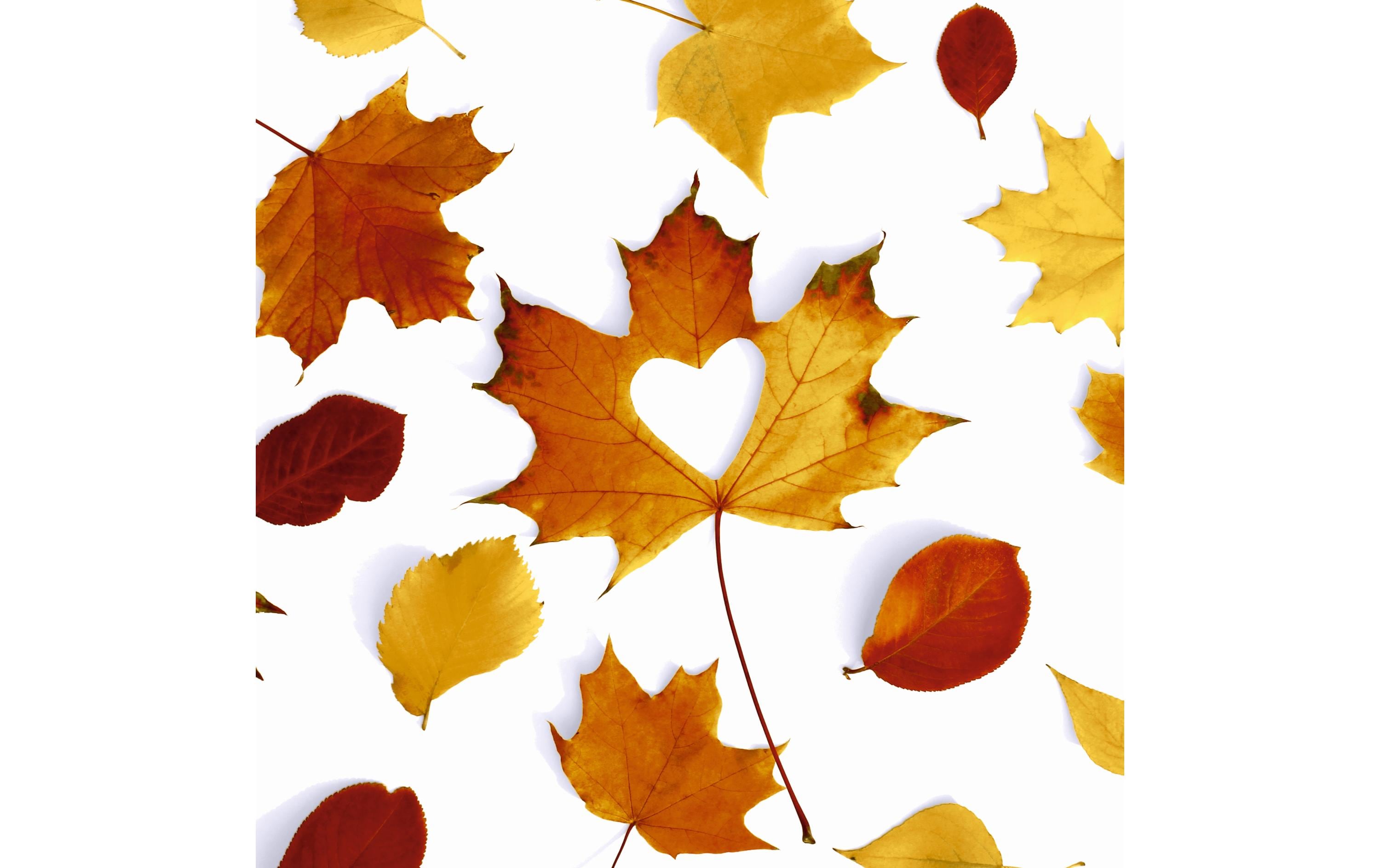 Paper + Design Servietten Autumn Love