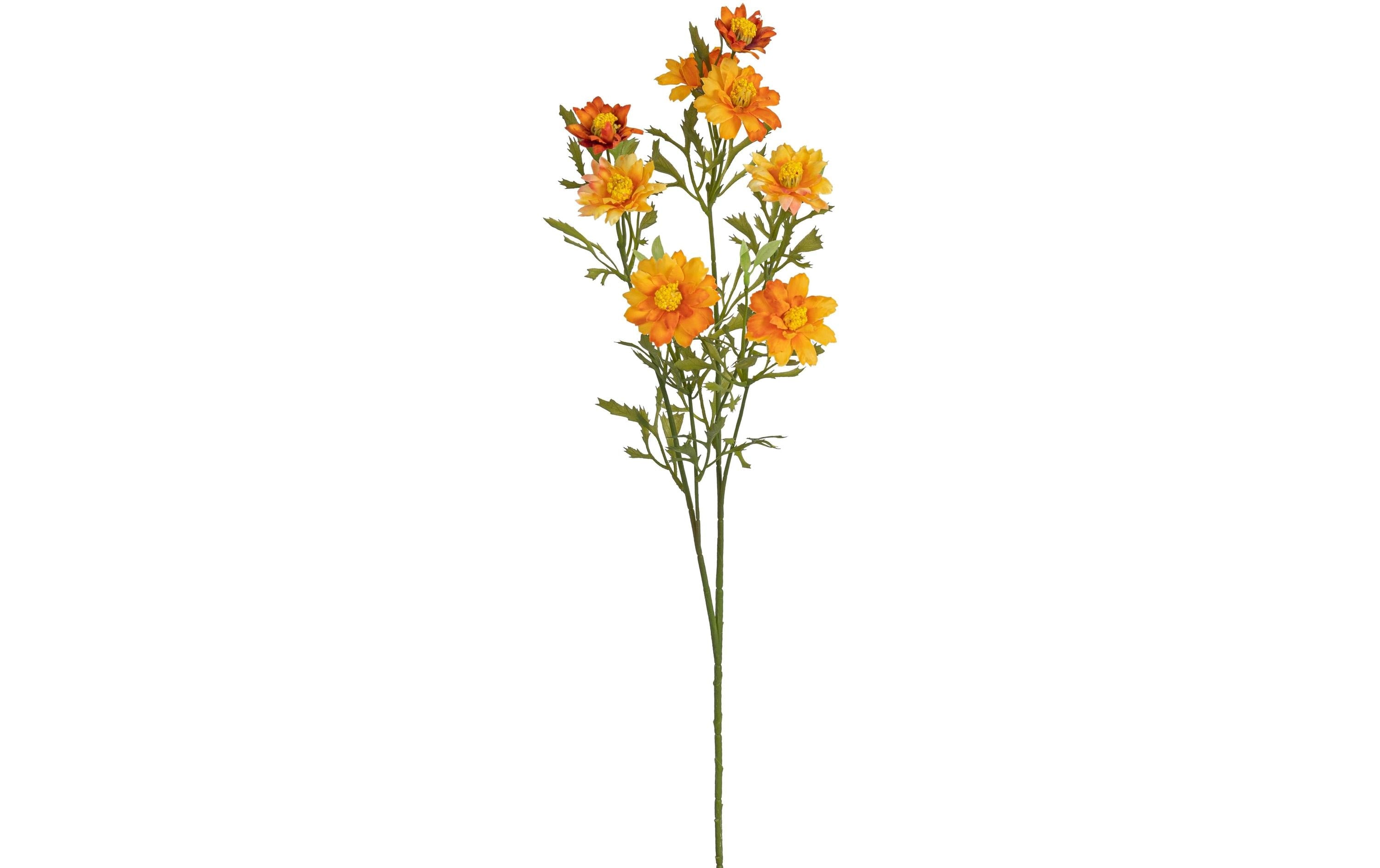 Botanic-Haus Blütenzweig, Orange