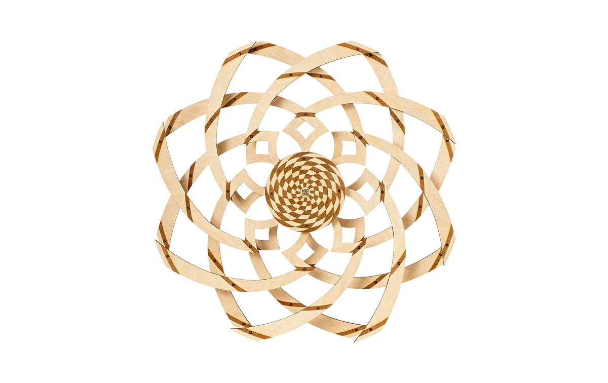 WoodTrick Vortex Hypnotic WDTK093