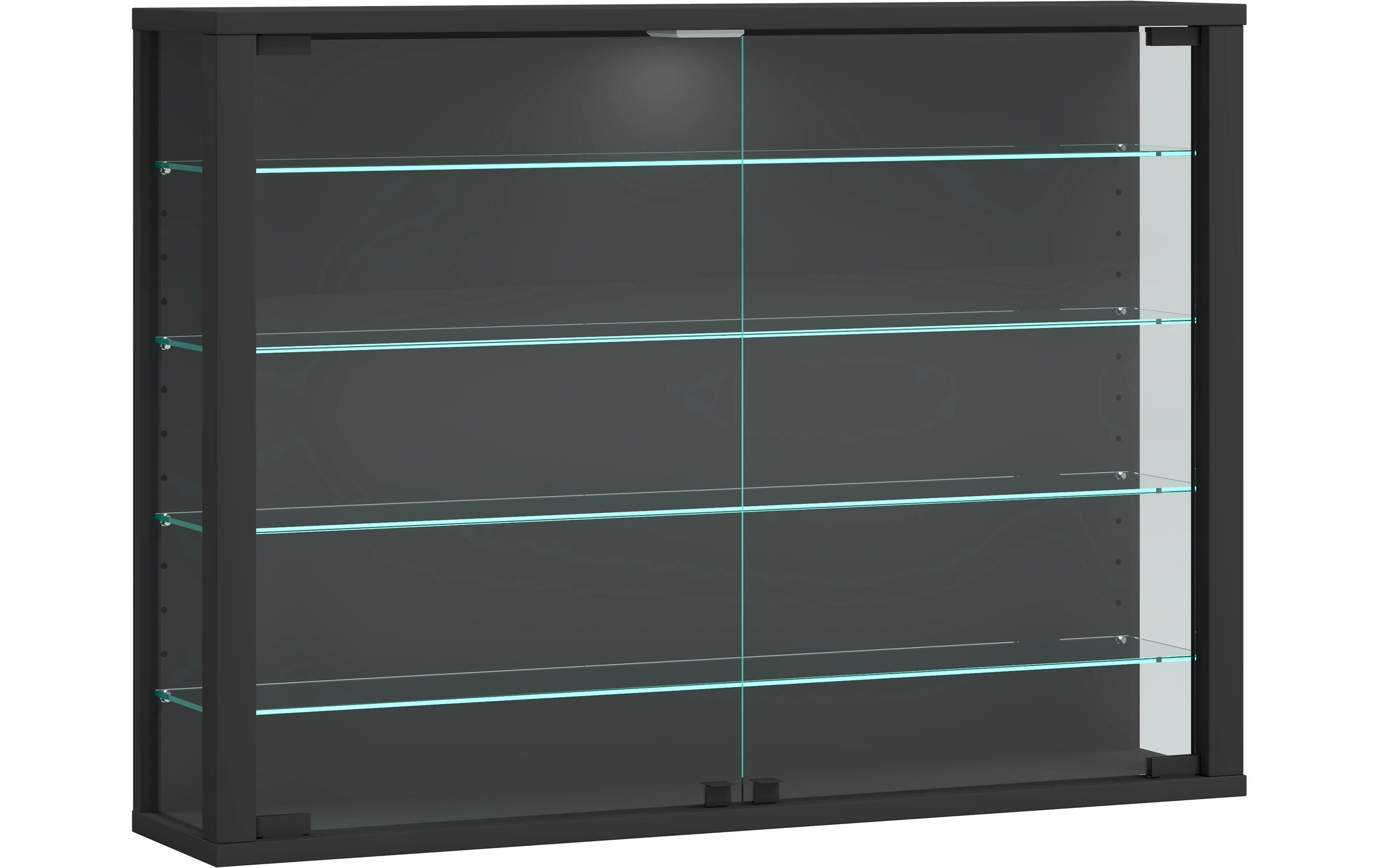 VCM Wandvitrine Vitrosa L