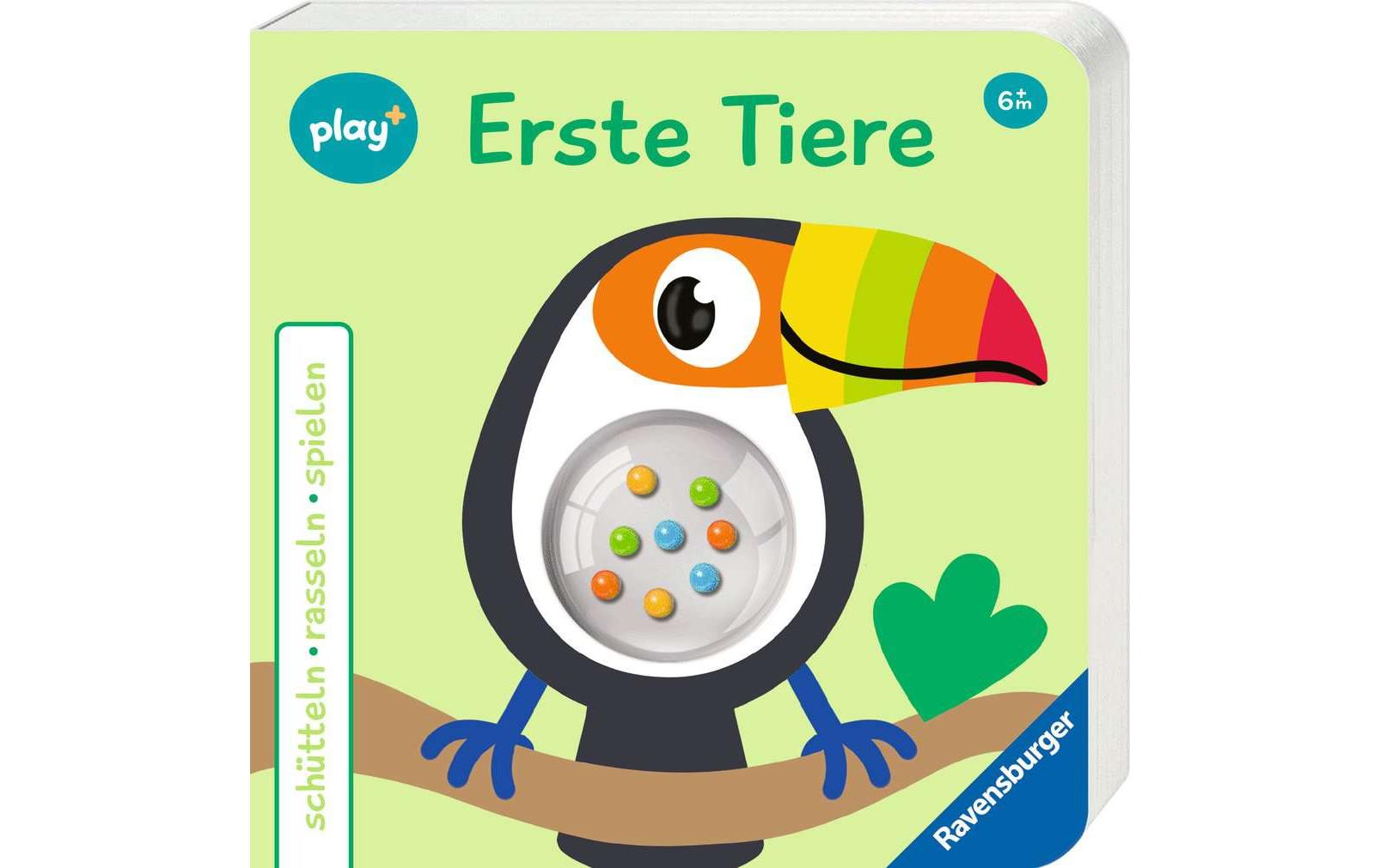 Play+ Buch schütteln, rasseln: Tiere