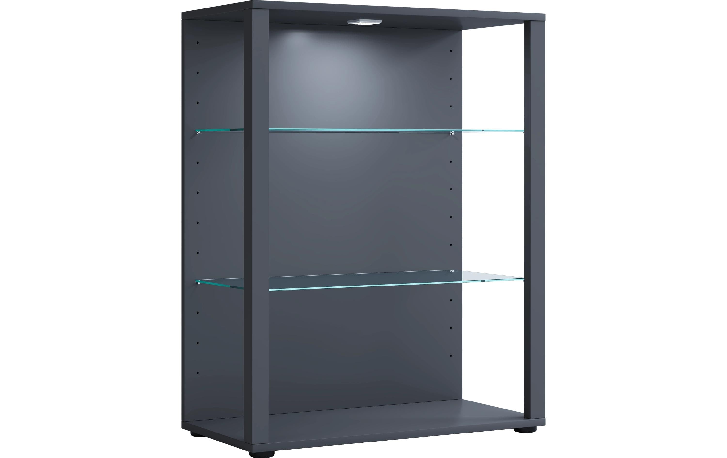VCM Standvitrine Glasol L