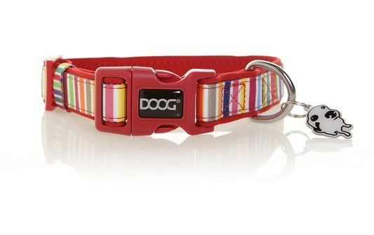 Doog Halsband S Scooby
