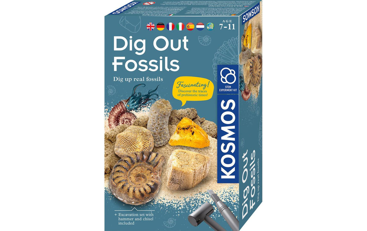 Fossilien INT