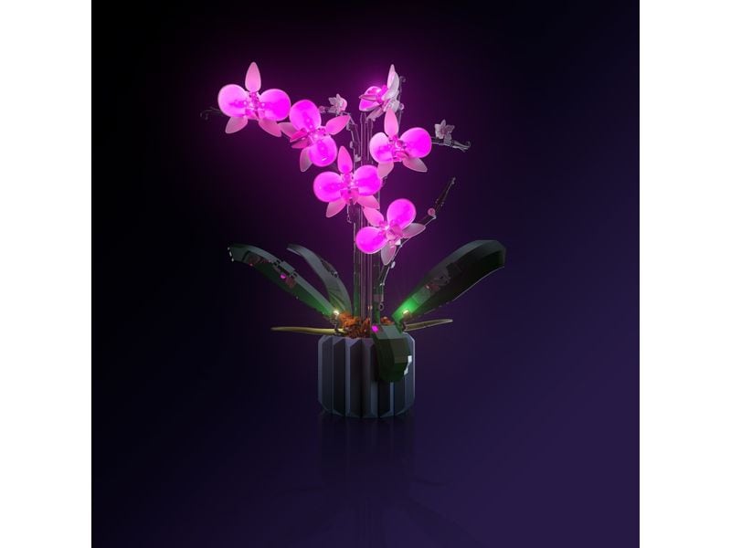 Light My Bricks | LEGO Orchidee #10311 Light Kit 2.0 | LMB 2.0