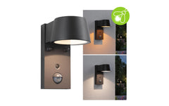 Paulmann LED Aussenwandleuchte Capera